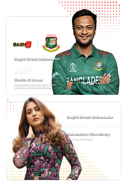ambassadors